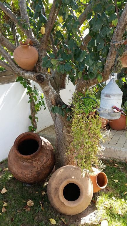 Apartament The Sun House Santa Iria de Azoia Pokój zdjęcie