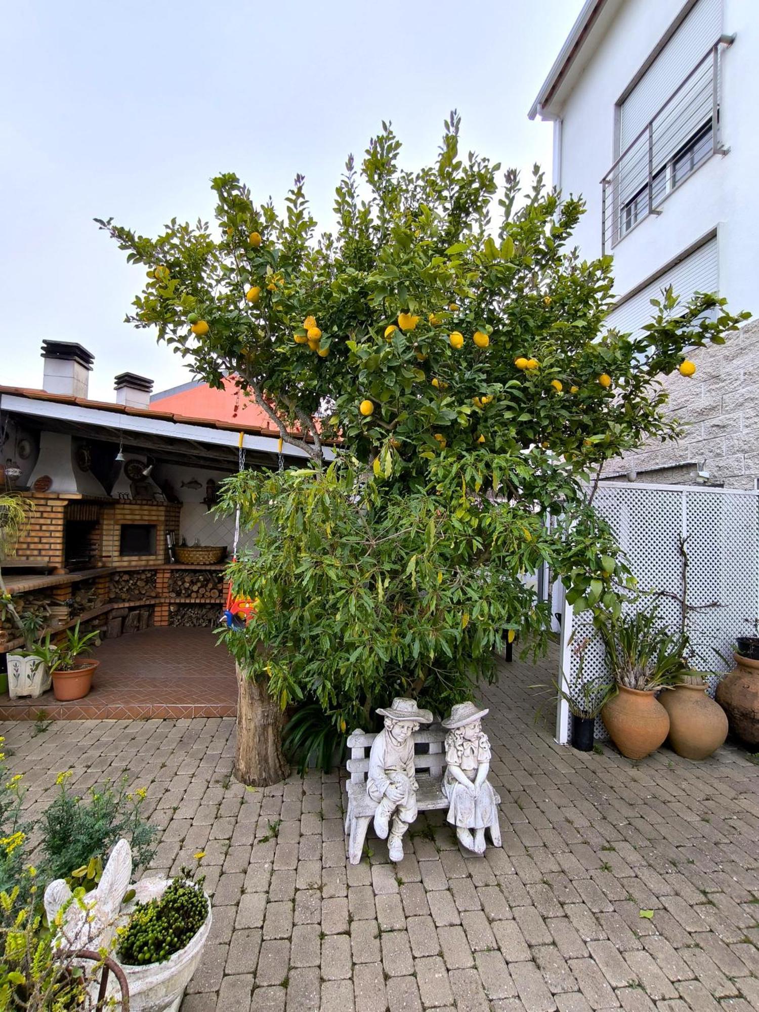Apartament The Sun House Santa Iria de Azoia Zewnętrze zdjęcie