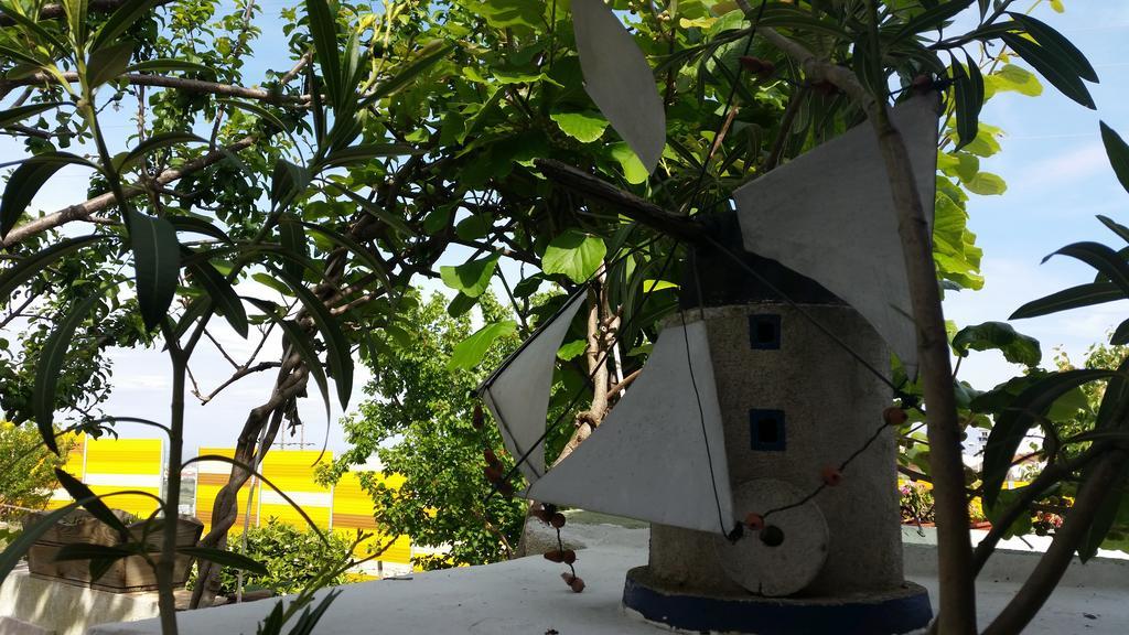 Apartament The Sun House Santa Iria de Azoia Zewnętrze zdjęcie